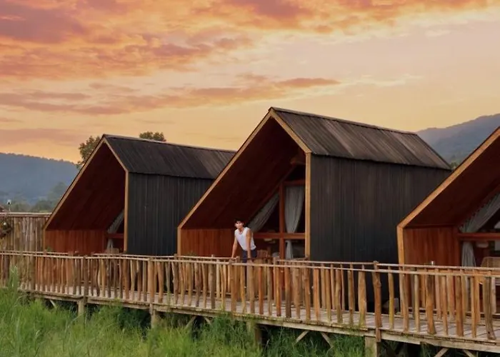 Dynasty Glamping ロッジ *